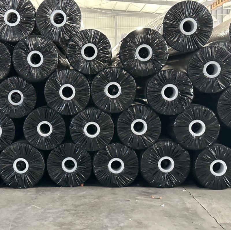 Vải địa kỹ thuật cán nóng
